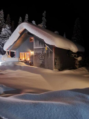Cozy mountain house in Jämtland